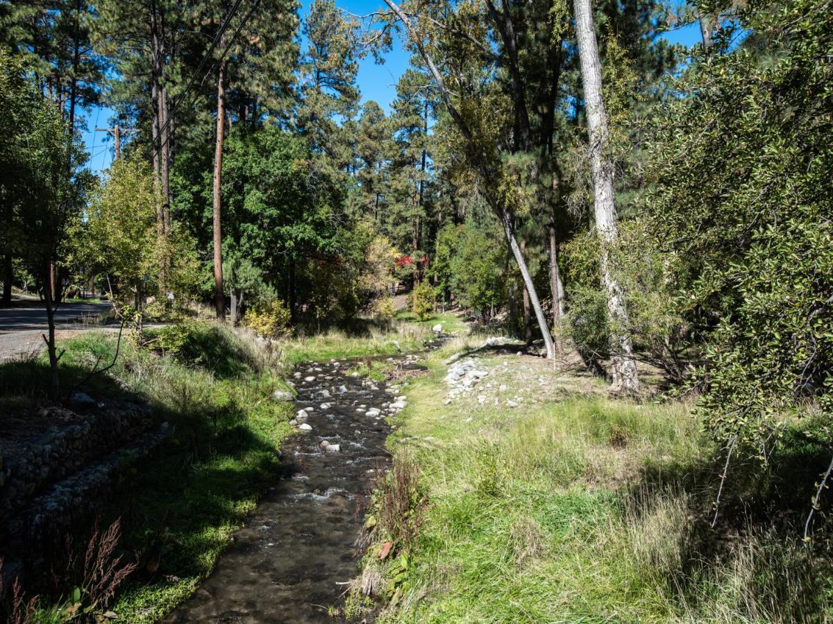 Pine Cabin, 2 Bedrooms, Fireplace, Midtown, Sleeps 6 Ruidoso Exteriör bild